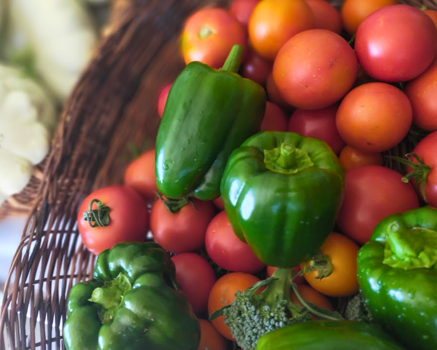 Ripe tomatoes and Green Peppers in a basket ready for processing