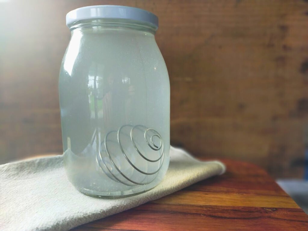 Water kefir in a glass jar with lid sitting in front of a wooden box