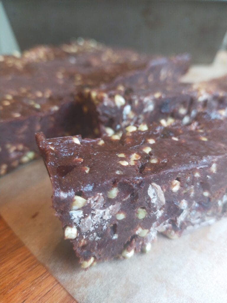 Cacao and Cranberry No Bake Energy Bars