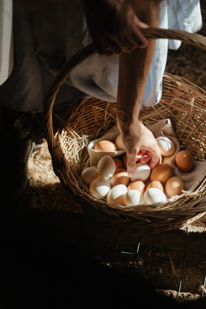 Placing eggs in a basket at the farmhouse